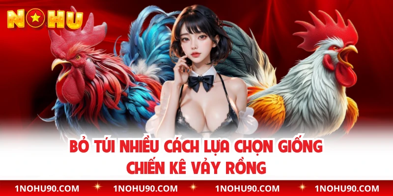 Bỏ túi nhiều cách lựa chọn giống chiến kê vảy rồng