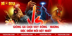 Giống Gà Chọi Vảy Rồng - Những Đặc Điểm Nổi Bật Nhất